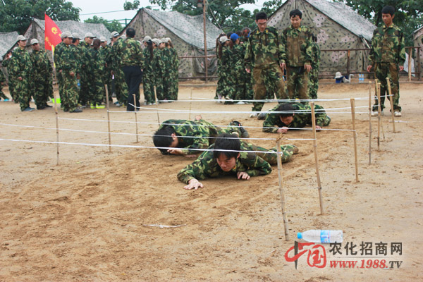 挑戰(zhàn)隊(duì)-堅(jiān)持才能收獲成功