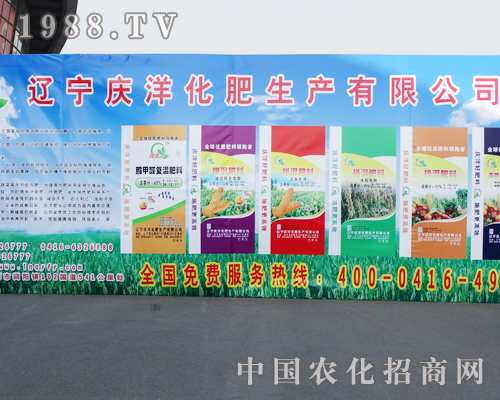 �c�󻯷��ڵ�ʮ����ꖷ����p����(hu��)�ϴ������M(j��n)