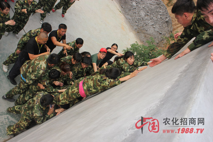 �����y������(zh��n)��ǰ����Ҷ������ľ���������w�F(xi��n)������(zh��n)�������۟��F꠵ľ�����