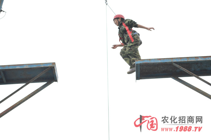 ��Ӗ(x��n)�нo��ӡ����̵��ǡ�ä�˷�ꇡ���������·���߿Ք����������I(y��)�����Ȏׂ�(g��)�(xi��ng)Ŀ����