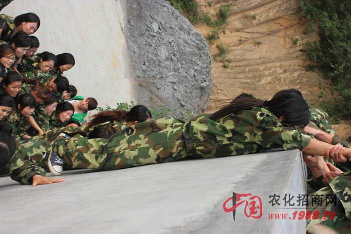 �ġ���������·���������I(y��)�����ɂ�(g��)�Α��ǎ��o��Ҹ��|�Ӱ푵ăɂ�(g��)�(xi��ng)Ŀ��