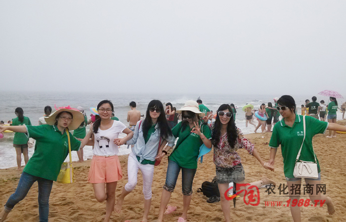 追逐海風(fēng)的腳步