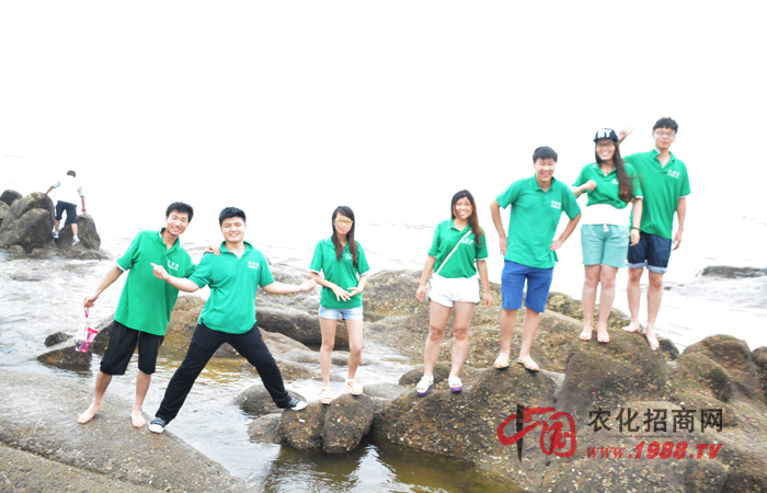 �R��܊2014��������