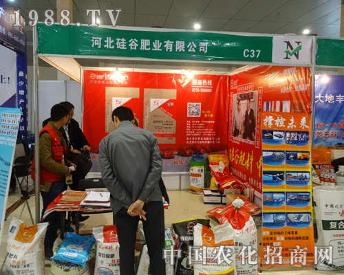     �ӱ���ȷʘI(y��)��2015��ɽ�|��(hu��)�Ϻʝɕ�(hu��)�W���ǈ�(ch��ng)