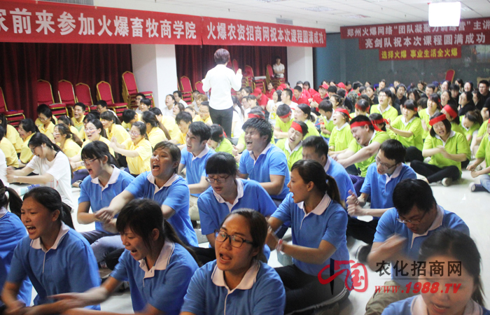 沒有完美的個人,只有完美的團隊