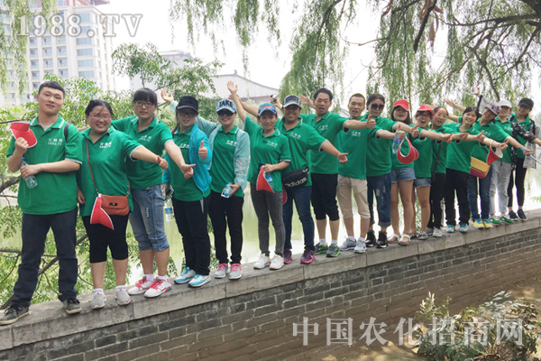 ȫ���Ը��� �����Լ�