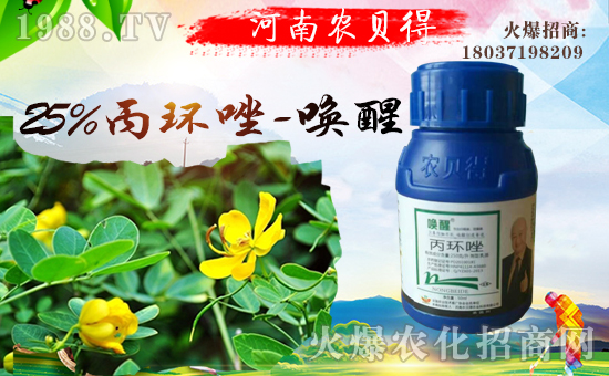 �����r(n��ng)ؐ���r(n��ng)�I(y��)�Ƽ����޹�˾