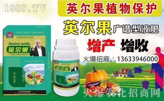 Ӣ��Ӣ����ֲ�ﱣ�o(h��)���޹�˾