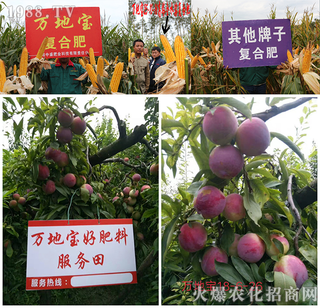 �����ʢ�ʘI(y��)�Ƽ����޹�˾1