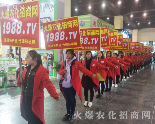 2017����Ϸ����p������1988.TV�����»���