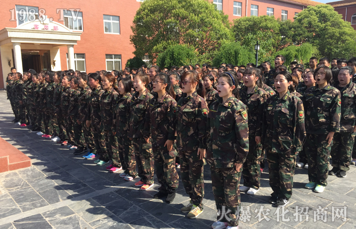 堅(jiān)持,堅(jiān)毅,用心工作!