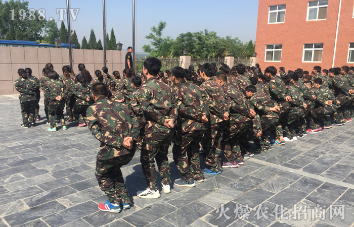 ���w�O�޵�����(zh��n)�������ϴ�Y