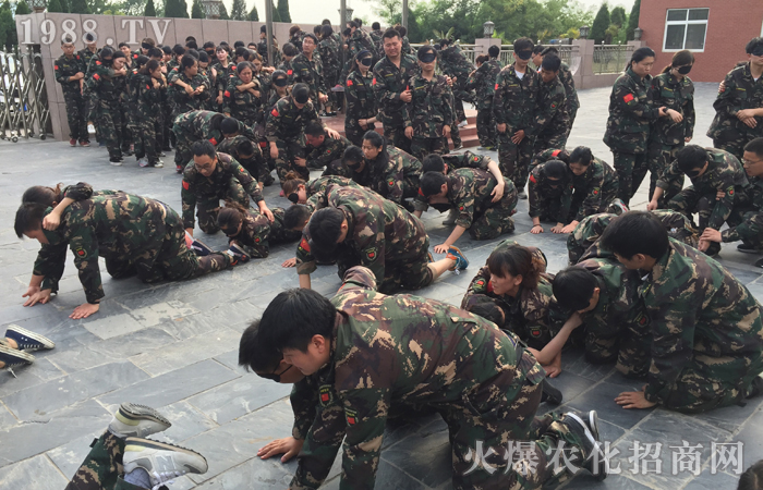  ��Ӗ�����w�������w������������������빤��