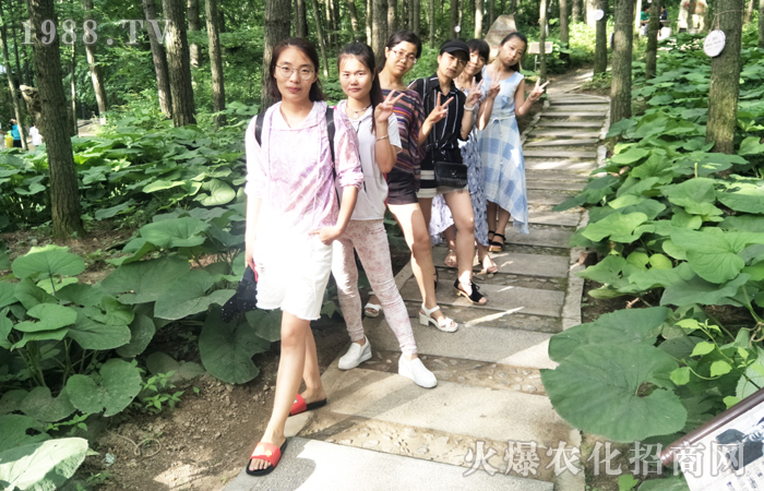 �ǰ���ɽ���I(l��ng)�Դ���Ȼ�L(f��ng)����