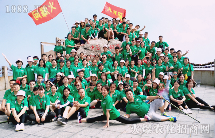 山登絕頂我為峰