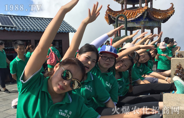 ����������w�P