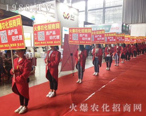 �o̎�����r���W(w��ng)���M�۱M�ǻ𱬼t��