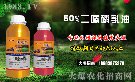 【德國世!孔4蠹倚碌囊荒昀锶f事如意,夢想成真!