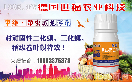 【德國世!孔4蠹倚碌囊荒昀锶f事如意,夢想成真!