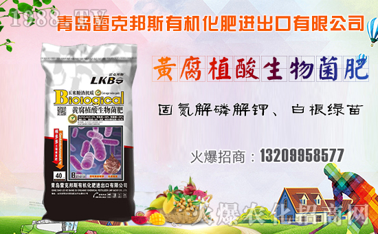 【雷克邦斯】祝大家在新的一年里幸福美滿,闔家歡樂!