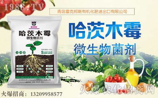 【雷克邦斯】祝大家在新的一年里幸福美滿,闔家歡樂!