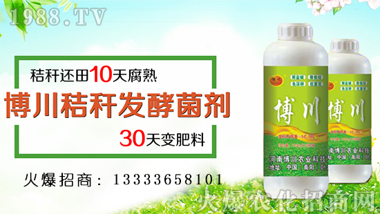 �������r(n��ng)�I(y��)��������ף�������옷(l��)���f(w��n)��������