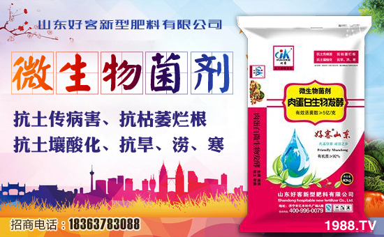 【山東好客】祝大家狗年好運長似龍,家庭和睦多興。