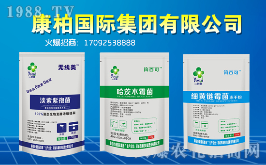 �����؇�(gu��)�H��ף��һ·�������т�?c��)��µ�һ�����Ҹ����M���H�Қg��(l��)��