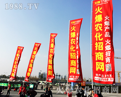 ����ʮ�Č�ȫ��ֲ���������r(n��ng)�����̾W(w��ng)�L(f��ng)��ȫ����