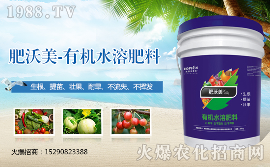 Ӣ��Ӣ¶�����S���H�������޹�˾