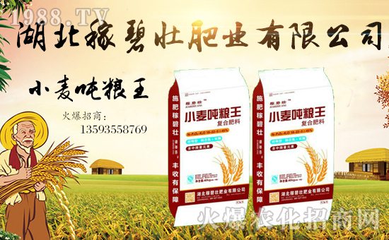 湖北稼碧壯肥業(yè)有限公司