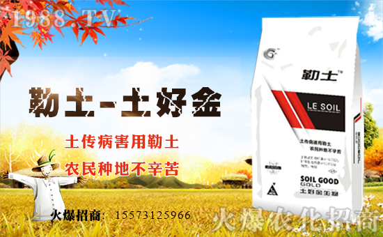 【土好金生物】祝大家在新的一年里新春快樂,狗年大吉!