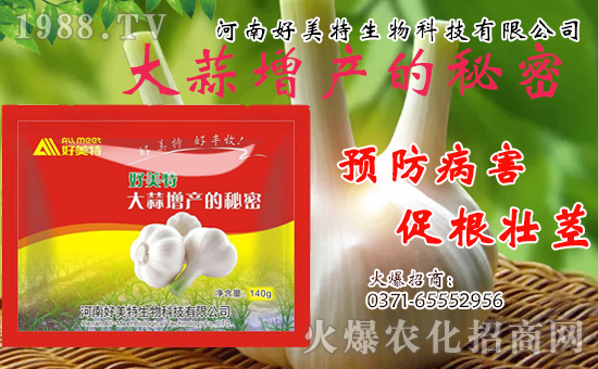 �����������ף������w�����������d�����H���Ҹ���