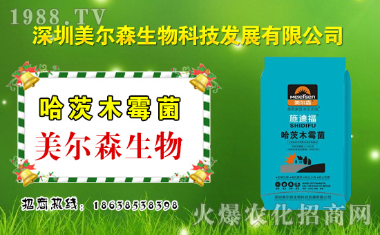 ������ɭ���ף������µ�һ�������w�����������³ɣ��f��������