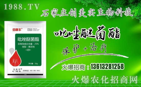 ����(chu��ng)����(sh��)���ףȫ��(gu��)�������µ�һ���﹤�����������������