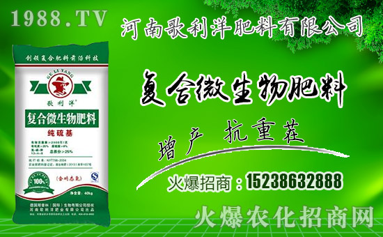 �����ϸ�����ף������µ�һ���﹤�����������������