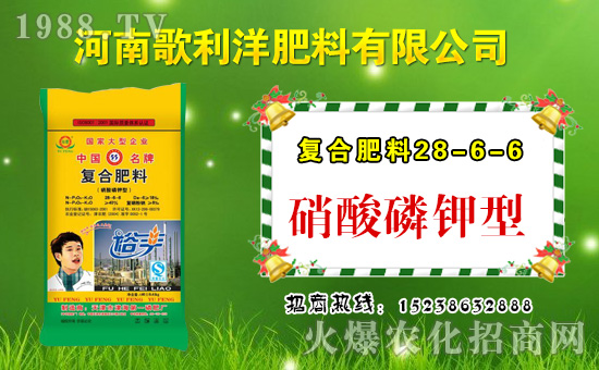 �����ϸ�����ף������µ�һ���﹤�����������������