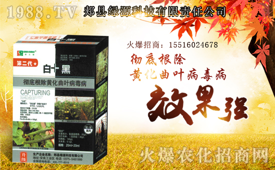 ���GԴ�Ƽ���ף������µ�һ�������w�����������³����f��������