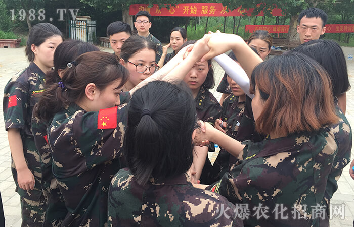 �������������ƵZǰ�С�Ӗ(x��n)���I(y��ng)��Ӗ(x��n)�w��(hu��)