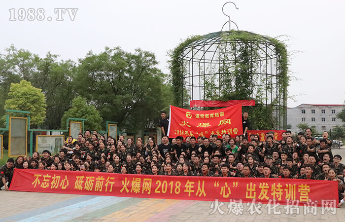 拼搏到無能為力,努力到感動(dòng)自己!