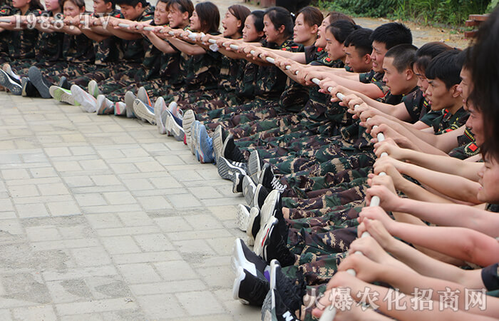 拼搏到無能為力,努力到感動(dòng)自己!