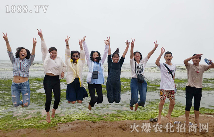 紅瓦綠樹,碧海藍(lán)天