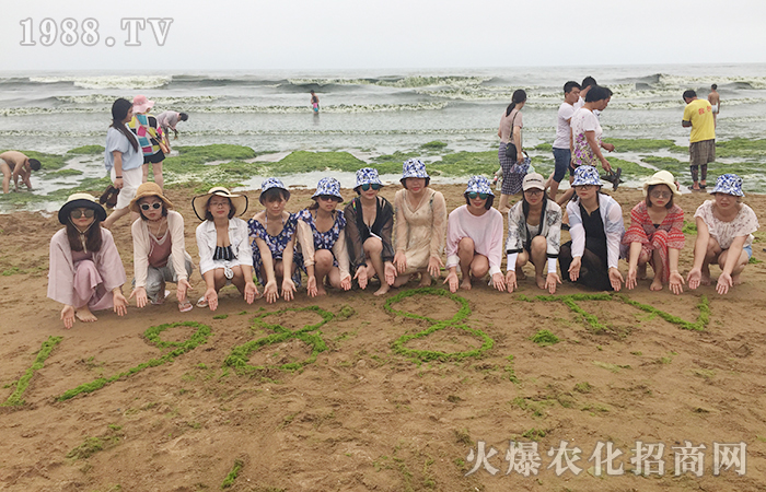 一片海,一群人,一份情,一個夢!