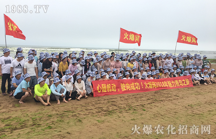 紅磚綠瓦,碧海藍天 想pick八大關