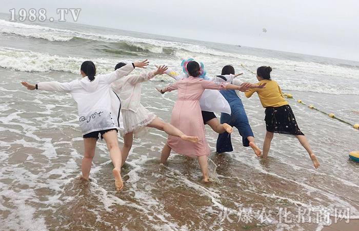 青島我來(lái)了