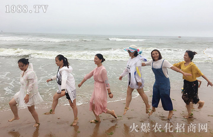 紅瓦綠樹(shù)、碧海藍(lán)天,擁抱大海,放飛心情!