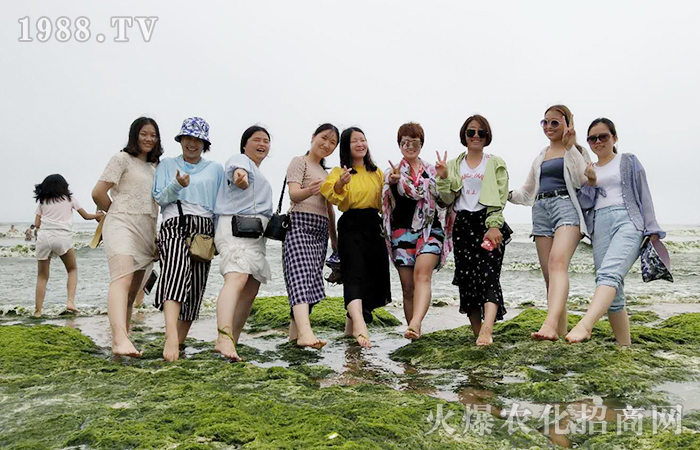 漫步紅瓦綠樹間,感受青島海濱城美景!