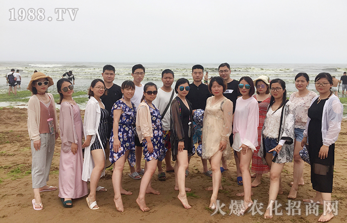 一切都是的安排