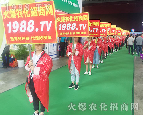 2018��15�������r�Y���[������1988.TVչʾ�Լ������_��