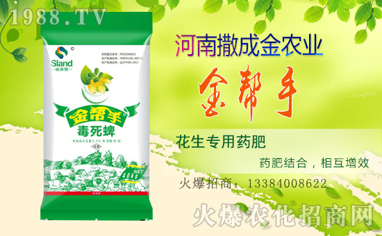 �����ɽ��r(n��ng)�I(y��)��ף������µ�һ���������³�������������